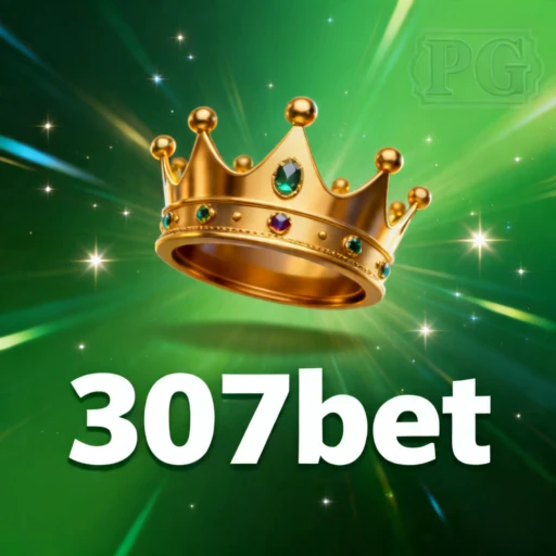 307bet Logo